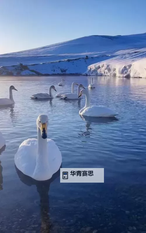 探索91果冻制造厂免费视频:揭秘果冻生产工艺的精彩瞬间图1