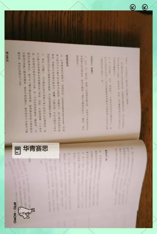 《最原始的爱全文阅读：探索纯粹情感的美丽篇章》图1
