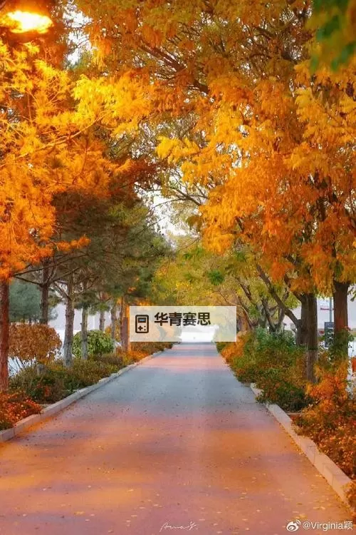 租客H1VL1:最新租赁趋势与入住指南图1