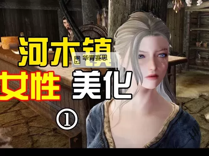 《上古卷轴5》脸型MOD导入图文教程 脸型MOD怎么用图2