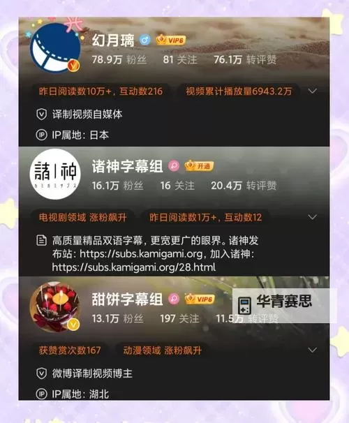 解决中日文字字幕乱码问题的实用指南:修复字幕乱码视频的方法图1