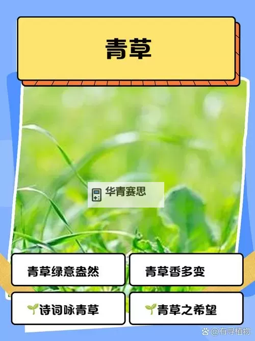 2024年最新内容:青青草热点提示线助你掌握第一手资讯图1