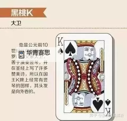 十大PC扑克牌游戏推荐 有哪些PC扑克牌游戏图1