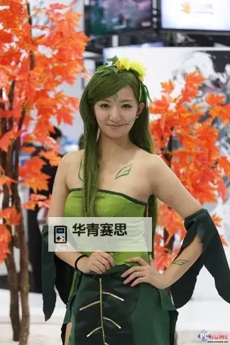 男人天堂网2013:年度回顾与行业走向解析图1