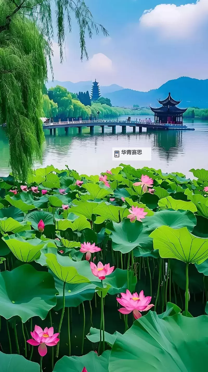 中国国产免费毛卡片:解锁本土创新与普惠福利的新篇章图1